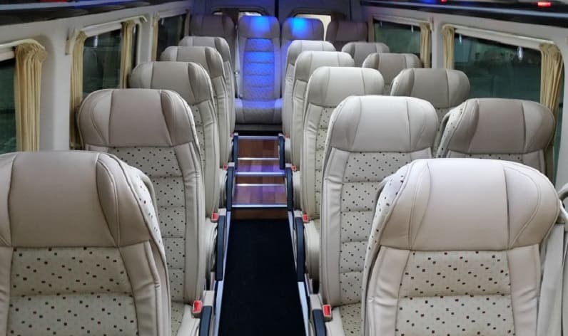 Győr-Moson-Sopron: Coach company in Győr in Győr and Hungary