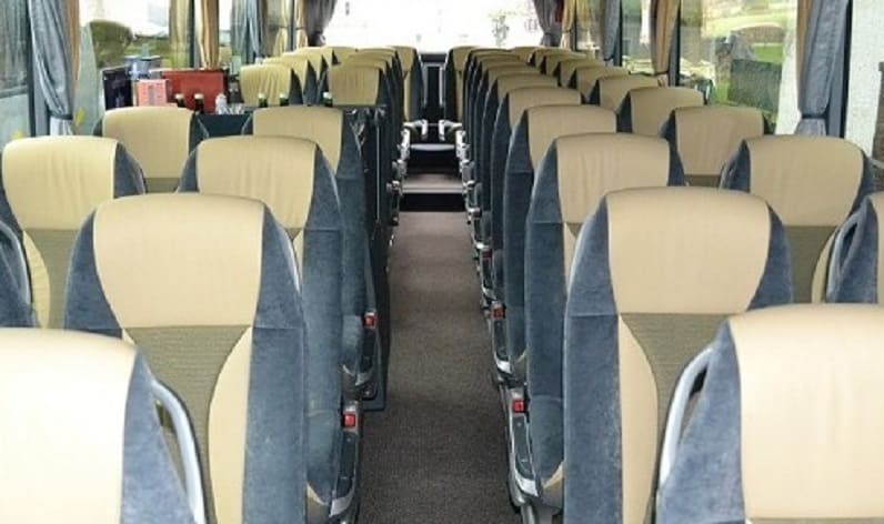 Hungary: Coach operator in Győr-Moson-Sopron in Győr-Moson-Sopron and Győr